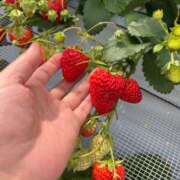 ヒメ日記 2026/03/08 08:25 投稿 なな 丸妻 池袋店