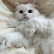 ヒメ日記 2026/02/10 19:36 投稿 ミヤビ ソープランド マックス