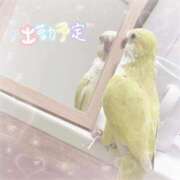 ヒメ日記 2026/04/12 20:52 投稿 まろ マネキン神宮店
