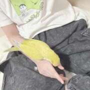 ヒメ日記 2026/04/21 04:52 投稿 まろ マネキン神宮店