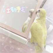 ヒメ日記 2026/04/21 15:22 投稿 まろ マネキン神宮店