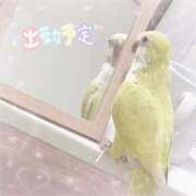 ヒメ日記 2026/04/23 17:32 投稿 まろ マネキン神宮店