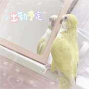 ヒメ日記 2026/05/11 01:52 投稿 まろ マネキン神宮店