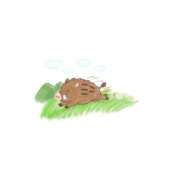 ヒメ日記 2026/05/13 16:22 投稿 まろ マネキン神宮店