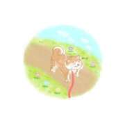 ヒメ日記 2026/05/16 19:32 投稿 まろ マネキン神宮店