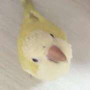 ヒメ日記 2026/02/20 12:42 投稿 ひかる マネキン神宮店