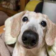 ヒメ日記 2026/03/08 14:52 投稿 ひかる マネキン神宮店