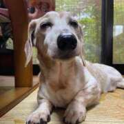 ヒメ日記 2026/03/12 00:32 投稿 ひかる マネキン神宮店