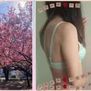 ヒメ日記 2026/03/10 19:54 投稿 里田 熟女の風俗最終章 横浜本店