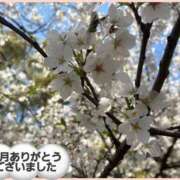 ヒメ日記 2026/03/31 23:19 投稿 里田 熟女の風俗最終章 横浜本店