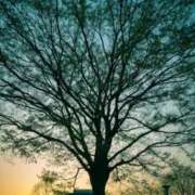 ヒメ日記 2026/02/06 15:55 投稿 のぞみ One More 奥様　錦糸町店