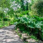 ヒメ日記 2026/02/13 16:33 投稿 のぞみ One More 奥様　錦糸町店