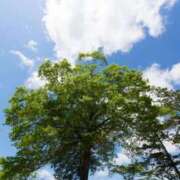 ヒメ日記 2026/02/13 16:35 投稿 のぞみ One More 奥様　錦糸町店