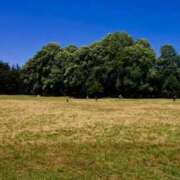 ヒメ日記 2026/03/03 18:33 投稿 のぞみ One More 奥様　錦糸町店