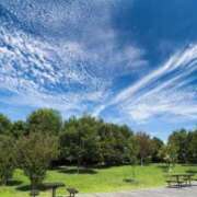 ヒメ日記 2026/03/12 17:14 投稿 のぞみ One More 奥様　錦糸町店