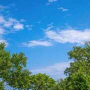 ヒメ日記 2026/03/12 17:16 投稿 のぞみ One More 奥様　錦糸町店