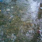 ヒメ日記 2026/03/13 10:13 投稿 のぞみ One More 奥様　錦糸町店