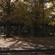 ヒメ日記 2026/03/27 17:43 投稿 のぞみ One More 奥様　錦糸町店