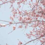 ヒメ日記 2026/04/22 16:33 投稿 のぞみ One More 奥様　錦糸町店