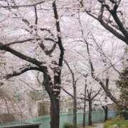 ヒメ日記 2026/04/30 17:13 投稿 のぞみ One More 奥様　錦糸町店