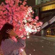 ヒメ日記 2026/03/26 17:51 投稿 せいら 熟女の風俗最終章 蒲田店