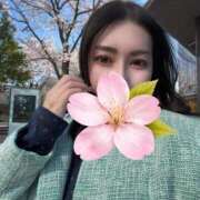 ヒメ日記 2026/04/05 17:20 投稿 せいら 熟女の風俗最終章 蒲田店