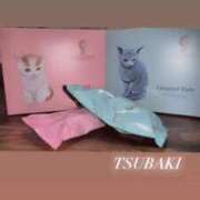 ヒメ日記 2026/02/07 11:01 投稿 椿【ツバキ】 Evolution1st キタ兎我野店