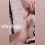 ヒメ日記 2026/03/10 16:41 投稿 椿【ツバキ】 Evolution1st キタ兎我野店