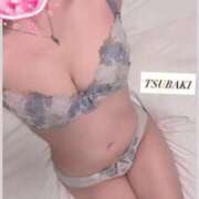 ヒメ日記 2026/03/15 11:51 投稿 椿【ツバキ】 Evolution1st キタ兎我野店