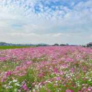 ヒメ日記 2026/02/18 07:05 投稿 早乙女 ふわり CUORE(クオレ)