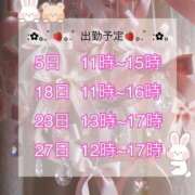 ヒメ日記 2026/02/26 12:15 投稿 早乙女 ふわり CUORE(クオレ)