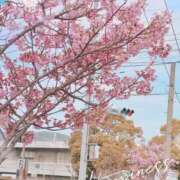 ヒメ日記 2026/04/07 07:15 投稿 早乙女 ふわり CUORE(クオレ)