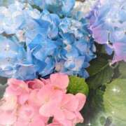 ヒメ日記 2026/04/16 07:05 投稿 早乙女 ふわり CUORE(クオレ)