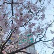 ヒメ日記 2026/03/21 12:12 投稿 中川はるな 渋谷エオス