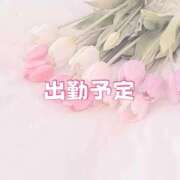 ヒメ日記 2026/04/07 13:27 投稿 まい 白いぽっちゃりさん錦糸町店