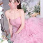 ヒメ日記 2026/03/19 02:32 投稿 この【ふわふわ雰囲気美女】 STELLA TOKYO－ステラトウキョウ－