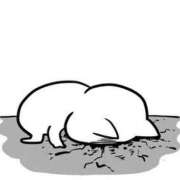 ヒメ日記 2026/02/18 18:15 投稿 凪 ZERO