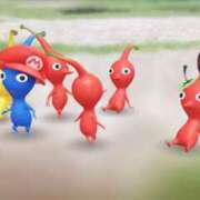 ヒメ日記 2026/02/24 17:30 投稿 凪 ZERO