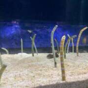 ヒメ日記 2026/02/25 20:30 投稿 凪 ZERO