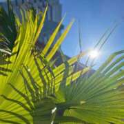 ヒメ日記 2026/03/30 14:45 投稿 凪 ZERO