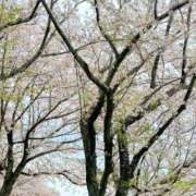 ヒメ日記 2026/04/13 12:30 投稿 凪 ZERO