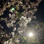 ヒメ日記 2026/04/13 19:00 投稿 凪 ZERO