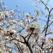 ヒメ日記 2026/04/13 23:30 投稿 凪 ZERO