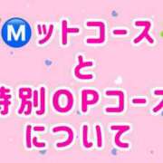 ヒメ日記 2026/04/15 15:30 投稿 凪 ZERO
