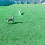 ヒメ日記 2026/02/13 13:53 投稿 はる 君とふわふわプリンセスin熊谷