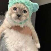 ヒメ日記 2026/02/26 23:12 投稿 はる 君とふわふわプリンセスin熊谷