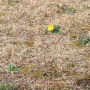 ヒメ日記 2026/03/04 22:09 投稿 はる 君とふわふわプリンセスin熊谷