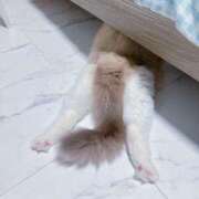 ヒメ日記 2026/03/27 01:59 投稿 はる 君とふわふわプリンセスin熊谷