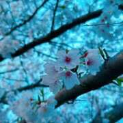 ヒメ日記 2026/04/03 00:17 投稿 はる 君とふわふわプリンセスin熊谷