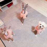 ヒメ日記 2026/04/04 23:47 投稿 はる 君とふわふわプリンセスin熊谷